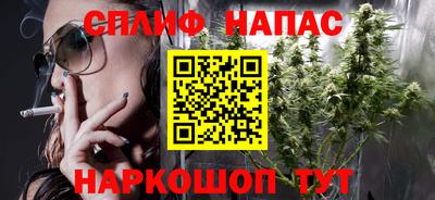 дживик Кингисепп