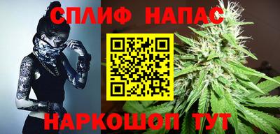 шишки Кимры