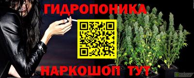 дживик Кингисепп