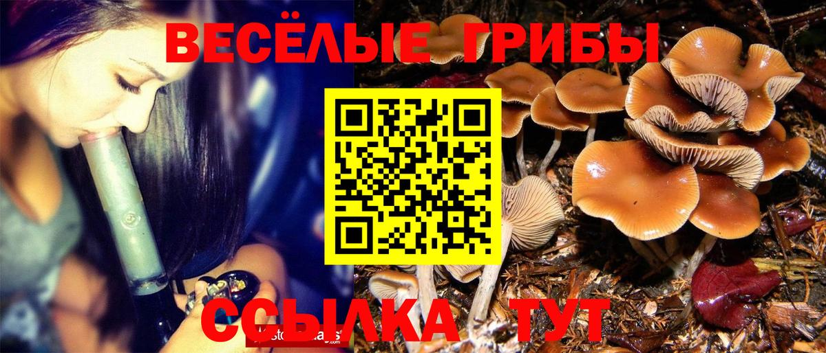 Псилоцибиновые грибы мухоморы Комсомольск-на-Амуре